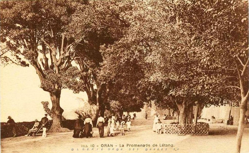 PL a- 103- Promenade de Letang A.jpg